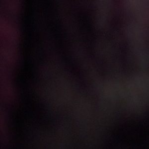 Meet your Posher, Sophia